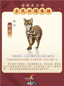 天龙八部私服杜